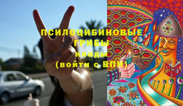 дмт Бородино