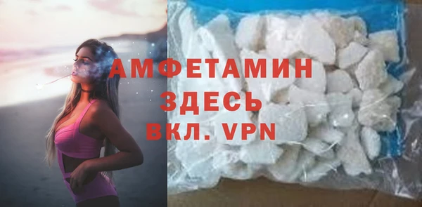 дмт Бородино