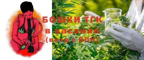 гашик Богородск