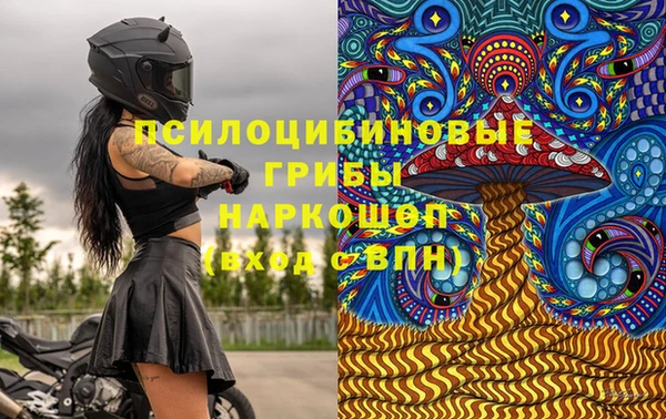 дмт Бородино