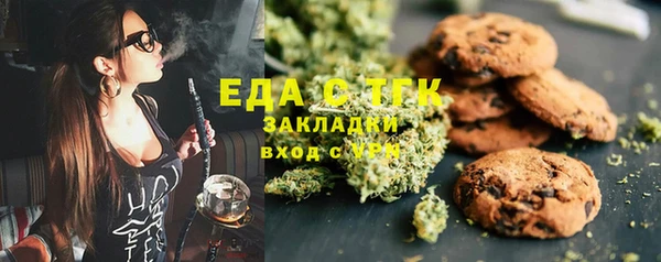 дмт Бородино