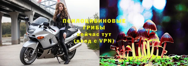 дмт Бородино
