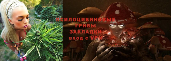 гидропоника Бронницы